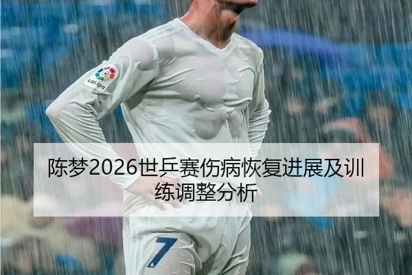 陈梦2026世乒赛伤病恢复进展及训练调整分析