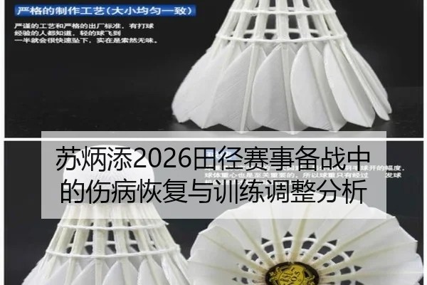 su-bing-tian-tian-jing-sai-shi-bei-zhan-zhong-de-shang-bing-hui-fu-yu-xun-lian-tiao-zheng-fen-xi-2-858.jpg