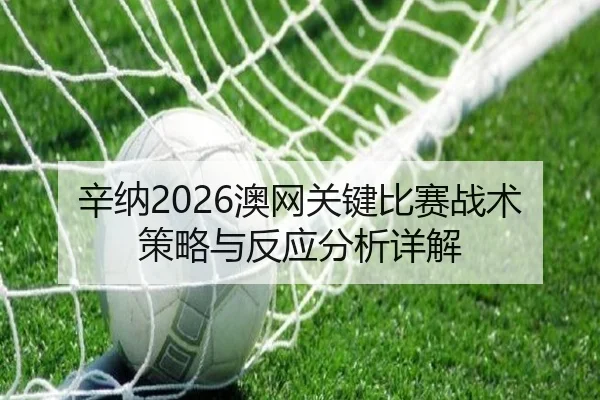 辛纳2026澳网关键比赛战术策略与反应分析详解