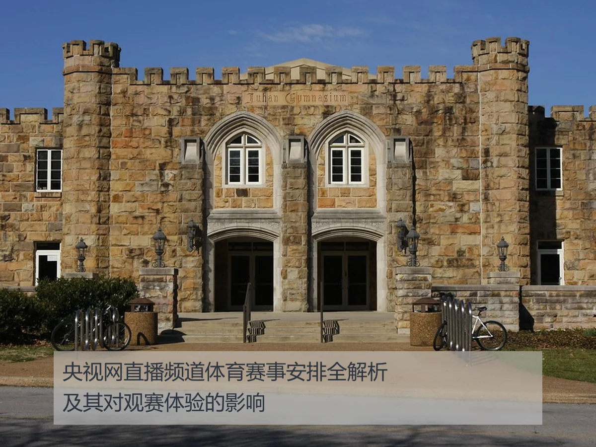 央视网直播频道体育赛事安排全解析及其对观赛体验的影响